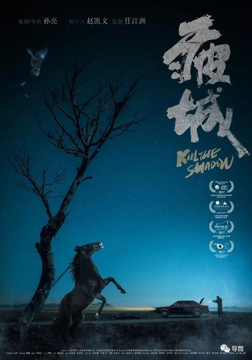 买芬兰驾照